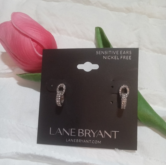 Lane Bryant Jewelry - 🤍New Lane Bryant Stud Earrings 🩶